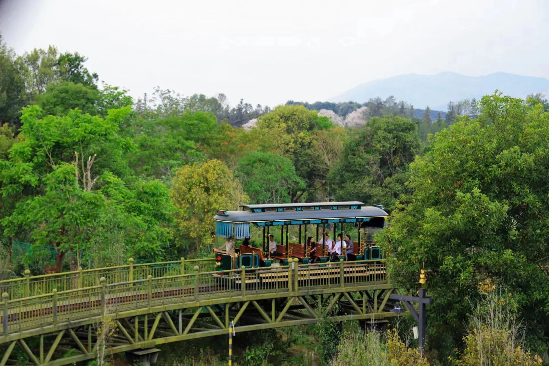 西雙版納茶馬古道：穿越千年的茶香之旅