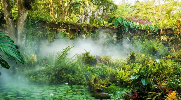 云南旅游,云南旅行社,云南團建公司,云南策劃公司,云南會議會展,云南策劃執(zhí)行,云南團建地接,西雙版納旅游,西雙版納旅行社,西雙版納團建公司,西雙版納策劃公司,西雙版納會議會展,西雙版納策劃執(zhí)行：光影勐臘旅拍游：用鏡頭捕捉多彩瞬間